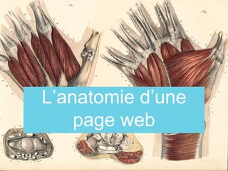 L’anatomie d’une
page web
 