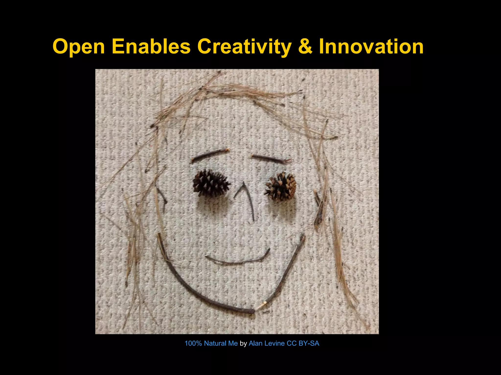 Open Enables Creativity & Innovation

100% Natural Me by Alan Levine CC BY-SA

 