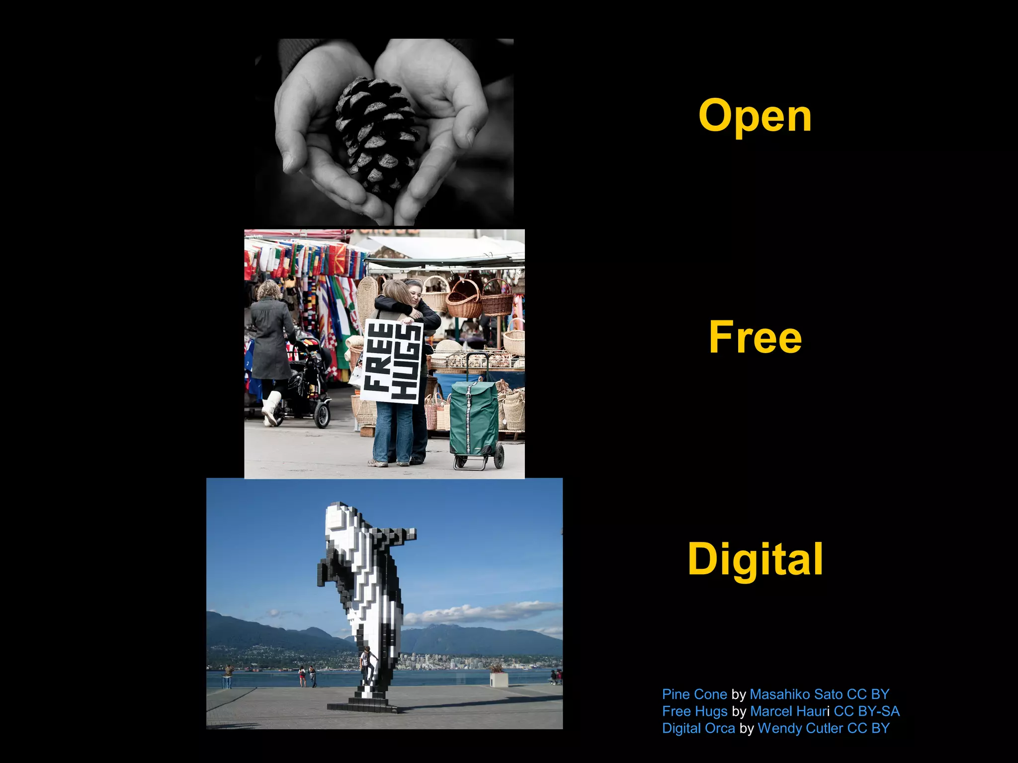 Open

Free

Digital
Pine Cone by Masahiko Sato CC BY
Free Hugs by Marcel Hauri CC BY-SA
Digital Orca by Wendy Cutler CC BY

 