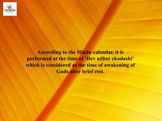 According to the Hindu calendar, it is
performed at the time of ‘Dev udhni ekadashi'
which is considered as the time of awakening of
Gods after brief rest.
 