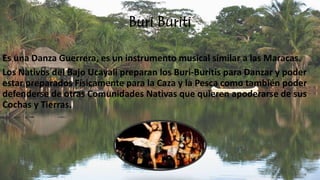 Buri Buriti
Es una Danza Guerrera, es un instrumento musical similar a las Maracas.
Los Nativos del Bajo Ucayali preparan los Buri-Buritis para Danzar y poder
estar preparados Físicamente para la Caza y la Pesca como también poder
defenderse de otras Comunidades Nativas que quieren apoderarse de sus
Cochas y Tierras.
 
