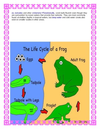 es, tunicates and other cnidarians.[5]Paradoxically, coral reefs flourish even though they
are surrounded by ocean waters that provide few nutrients. They are most commonly
found at shallow depths in tropical waters, but deep water and cold water corals also
exist on smaller scales in other areas.
 