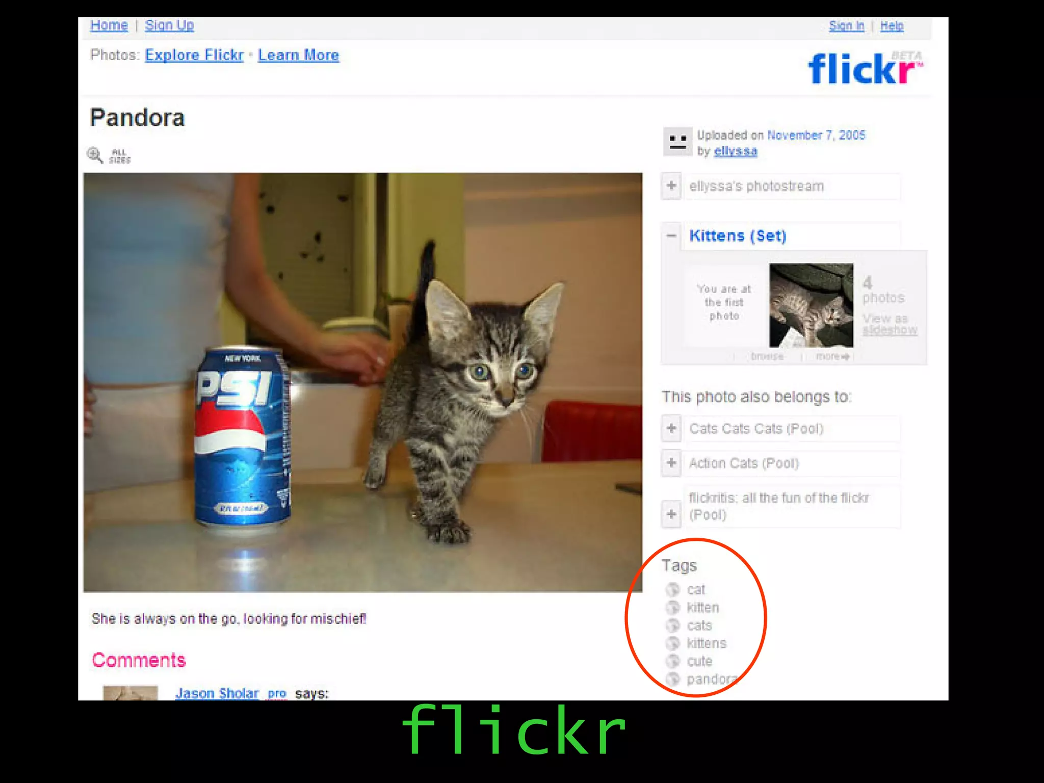 flickr 