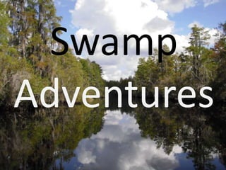 Swamp Adventures 