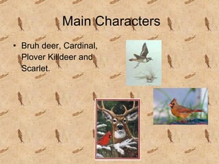 Main Characters Bruh deer, Cardinal, Plover Killdeer and Scarlet. 