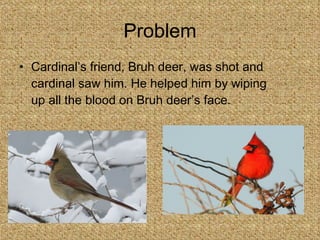 Problem Cardinal’s friend, Bruh deer, was shot and cardinal saw him. He helped him by wiping up all the blood on Bruh deer’s face. 