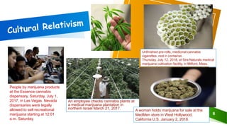 cannabis culture in modern fashion