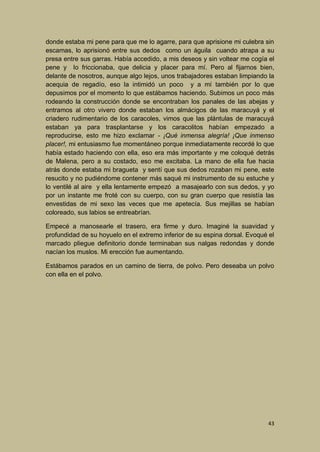 donde estaba mi pene para que me lo agarre, para que aprisione mi culebra sin
escamas, lo aprisionó entre sus dedos como un águila cuando atrapa a su
presa entre sus garras. Había accedido, a mis deseos y sin voltear me cogía el
pene y lo friccionaba, que delicia y placer para mí. Pero al fijarnos bien,
delante de nosotros, aunque algo lejos, unos trabajadores estaban limpiando la
acequia de regadío, eso la intimidó un poco y a mí también por lo que
depusimos por el momento lo que estábamos haciendo. Subimos un poco más
rodeando la construcción donde se encontraban los panales de las abejas y
entramos al otro vivero donde estaban los almácigos de las maracuyá y el
criadero rudimentario de los caracoles, vimos que las plántulas de maracuyá
estaban ya para trasplantarse y los caracolitos habían empezado a
reproducirse, esto me hizo exclamar - ¡Qué inmensa alegría! ¡Que inmenso
placer!, mi entusiasmo fue momentáneo porque inmediatamente recordé lo que
había estado haciendo con ella, eso era más importante y me coloqué detrás
de Malena, pero a su costado, eso me excitaba. La mano de ella fue hacia
atrás donde estaba mi bragueta y sentí que sus dedos rozaban mi pene, este
resucito y no pudiéndome contener más saqué mi instrumento de su estuche y
lo ventilé al aire y ella lentamente empezó a masajearlo con sus dedos, y yo
por un instante me froté con su cuerpo, con su gran cuerpo que resistía las
envestidas de mi sexo las veces que me apetecía. Sus mejillas se habían
coloreado, sus labios se entreabrían.
Empecé a manosearle el trasero, era firme y duro. Imaginé la suavidad y
profundidad de su hoyuelo en el extremo inferior de su espina dorsal. Evoqué el
marcado pliegue definitorio donde terminaban sus nalgas redondas y donde
nacían los muslos. Mi erección fue aumentando.
Estábamos parados en un camino de tierra, de polvo. Pero deseaba un polvo
con ella en el polvo.

43

 