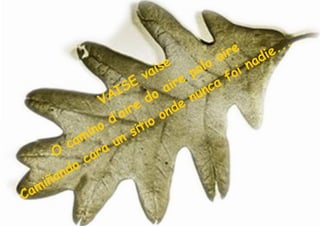 re di  e. ..
                                      e         o ai       a
                                   is        ol          n
                               v a
                                         e p        f oi
                         S E         a ir       ca
                   V A I
                                d o        n un
                             e           e
                       ’a ir        o nd
                   o d          io
               i n         s it
           a m        un
         c
      O           ra
           o ca
      a nd
   miñ
Ca
 