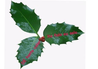 lo eu solo.
              X a fa
          r
        la
      ca
    nto
 ta
DE
 