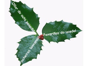 Ol
                                                                           lar
                                                                    do
Pin
      ch
                                                            ou
                                                               to
        eir
           as
                                                     pe
                                                       ne
                lon                         do
                      xa                      !
                         nas
                             !
                                 Pax ariños do u cedo!
 