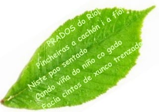 !           ío !
                                R ío            f
                            o             i a
                          d           n
                     O  S         h ó
                 D            a c
            R  A            c                    o
          P              a                     d           d o
                   a s         o           g a           a
               i r           d         o             n z
           h e            ta o c                 r e
      in c           e n                       t
    P               s         n iñ        c o
             a o           o          u n
           p             d          x
      t e         i ñ a        d e
  i s          v            s
N         d o            to
      a n           c in
   C          ía
          a c
        F
 