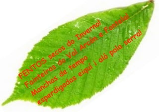 la!
                              o !          t  e
                            r n         on
                         v e          F                    !
                       n n
                      I ó         e                     ra
                     o rc                            er
                   d                               s
                s lA
               o a                          o la
           e c                          p
          s o V po                aló
       S
     O s      d em í i
    T ra            t      u
  N ei
 E t             e
               d se     iq
F in        s
   a ch    a      d a
  F n         ig a
     a rd
    M e
     e sp
 