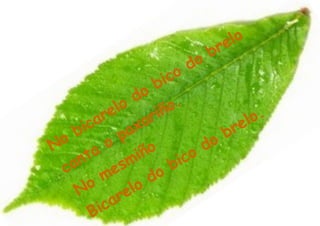 e lo
                                        b r
                                  d o
                           ic o
                       o   b
                   o d           .
               e l          iñ o                    .
           a r          a r                      lo
     b i c          a x                      r e
  o               p                      o b
N             o          o             d
        t a           iñ             o
  c a n           s m          b  ic
             m e            o
         o               d
     N               lo
               a re
         B  ic
 