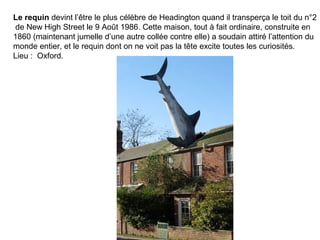 Le requin devint l’être le plus célèbre de Headington quand il transperça le toit du n°2
 de New High Street le 9 Août 1986. Cette maison, tout à fait ordinaire, construite en
1860 (maintenant jumelle d’une autre collée contre elle) a soudain attiré l’attention du
monde entier, et le requin dont on ne voit pas la tête excite toutes les curiosités.
Lieu : Oxford.
 