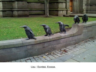 Lieu : Dundee, Ecosse.
 