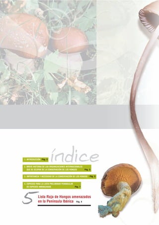 1. INTRODUCCIÓN Pág. 3
                         índice
2. BREVE HISTORIA DE LAS ORGANIZACIONES INTERNACIONALES
   QUE SE OCUPAN DE LA CONSERVACIÓN DE LOS HONGOS         Pág. 3


3. IMPORTANCIA Y NECESIDAD DE LA CONSERVACIÓN DE LOS HONGOS    Pág. 5


4. ESPECIES PARA LA LISTA PRELIMINAR PENINSULAR
   DE ESPECIES AMENAZADAS                       Pág. 7




5            Lista Roja de Hongos amenazados
             en la Península Ibérica Pág. 9
 