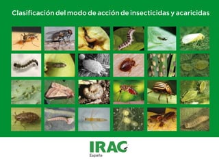 Clasificación del modo de acción de insecticidas y acaricidas
 