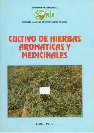 Cultivo de hierbas Aromáticas y medicinales 0
 