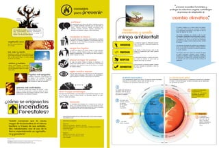 "prevenir incendios forestales y
                                                                                                                                   consejos                                                                                                                                             proteger la cobertura vegetal, contribuyen

                                                                                                                                   para             prevenir                                                                                                                                          al proceso de adaptacion al



                                                                                                                                                                                                                                                                                             cambio climatico"
                                                                                                                                                                                                                                                                                                             .
                                                                                                                             participar
                                                                                                                             La organización es la forma más eficaz y eficiente de preve-
                                                                                                                             nir y resolver problemas. Recuerda que “la unión hace la
                                                                                                                             fuerza”. Podemos conformar brigadas comunitarias para                                                                                                                  El cambio climático es un efecto directo del calenta-
                                                                                                                             enfrentar incendios forestales, pidiendo capacitación al                                                                                                               miento global. Esta marcado por variaciones aceleradas
                Los incendios se pueden expandir cientos de hectá-
                reas, comprometiendo diferentes ecosistemas y
                                                                                                                             Ministerio de Ambiente y apoyo a otras instituciones.                       -Hacer                                                                                     en la temperatura del planeta lo que altera el clima de

                                                                                                                                                                                                         conciencia y accion-
                                                                                                                                                                                                                                                                                                    todas las regiones del mundo.
                varios tipos de bosques, dañando el paisaje, el
                entorno y la vida que allí se alberga                                                                                                                                                                                                                                               Sus formas manifiestas son: sequías y olas de calor

                                                                                                                                                                                                   minga ambiental!
                                                                                                                                                                                                                                                                                                    prolongadas, inestabilidad de las temporadas o estacio-
                                                                                                                           RECOLECTAR la basura                                                                                                                                                     nes, lluvias torrenciales en otros puntos (inundaciones
                                                                                                                           No acumular basura en quebradas, jamás dejarla en el bosque                                                                                                              y semejantes), etc. Esto a su vez trae mas dificultades
                                                                                                                           o lanzarla a la carretera. Organizar a la comunidad para que                                                                                                             que ponen en riesgo la vida de todos los seres, incluida
  vegetacion seca                                                                                                          en conjunto con las instituciones competentes se resuelva el
                                                                                                                                                                                                                                La cobertura vegetal en diferentes ecosiste-                        la humana.
                                                                                                                           problema de la recolección.
  Que se consume fácilmente                                                                                                                                                                                                     mas. Los páramos y diferentes bosques son
  con el fuego.                                                                                                                                                                                       CONSERVAR                 indispensables.                                                     Las naciones concientes del problema han empezado a
                                                                                                                                                                                                                                                                                                    incluir, en sus agendas de gobierno, políticas ambienta-
                                                                                                                           apagar las fogatas                                                                                                                                                       les de conservación y acciones concretas de adaptación
                                                                                                                           Si haces una fogata en el campo, escoge un lugar separado                                            Las fuentes y cursos de agua, pues el vital                         al cambio climático.
                                                                                                                                                                                                                                líquido es fundamental para todas nuestras
  sol, calor y viento                                                                                                      del bosque y arbustos. Rodea el fuego con piedras. Después,
                                                                                                                           apágalo completamente. En el mejor de los casos usa agua y
                                                                                                                                                                                                      PROTEGER                  actividades.                                                        Esto implica, entre otros: reducir las emsiones de gases
  Sobretodo en verano, crean las condiciones para                                                                                                                                                                                                                                                   de efecto invernadero (industria, autos), proteger y
                                                                                                                           cúbrelo después con tierra.
  que el fuego se expanda. El sol seca la vegeta-                                                                                                                                                                                                                                                   recuperar la cobertura vegetal, implementar programas
  ción, el calor genera fuego y el viento propaga                                                                                                                                                                               La diversidad faunística y orgánica del plane-                      de prevención de riesgos, pero sobretodo concienciar a
  las llamas con rapidez.                                                                                                                                                                                                       ta. Cuidar los hábitats de estos seres es                           la población para que se apropie de tales políticas de
                                                                                                                           abonar en lugar de quemar                                                  RESPETAR                  urgente para evitar su extinción.                                   adaptación.
                                                                                                                           En lugar de quemar, utilizar el rastrojo, la hojarasca y la
   vidrios y metales                                                                                                       maleza para preparar abono y mezclarlo con el suelo durante
                                                                                                                           el barbecho. Esto mejorará el suelo de las chacras y la calidad                                      Para recuperar la cobertura vegetal, proteger
   Basura como botellas y aluminios                                                                                                                                                                                             el suelo, recuperar su fertilidad, y tener un
   (envolturas), concentran la luz y calor
   del sol, generando fuego en la vege-
                                                                                                                           de nuestros cultivos.
                                                                                                                                                                                                      REFORESTAR                aire más puro.
   tación seca.
                                                                                                                           vigilar nuestro espacio
                                                                                                                           Hay que estar atentos a los incendios que se están generando
                                                       fogatas mal apagadas                                                o estan siendo provocados. Para avisar a las autoridades o
                                                       Visitantes o pobladores, suelen extinguir mal                       poder extinguirlos a tiempo, antes de que se expandan.
                                                       las fogatas o las encienden en lugares                                                                                                              el efecto invernadero                                                        el calentamiento global
                                                       inapropiados, muy cerca de la vegetación.                                                                                                           Es el calentamiento natural de la Tierra. Los gases de efecto invernadero,   Es el incremento a largo plazo en la temperatura promedio de la atmósfera.
                                                       Esto aumenta el riesgo de incendios.                                                                                                                presentes en la atmósfera, retienen parte del calor del Sol                  Se debe a la emisión de gases de efecto invernadero que se desprenden
                                                                                                                                                                                                           y mantienen una temperatura apata para la vida.                              por actividades del hombre.



                        quemas mal controladas
                        Las personas queman para ampliar las chacras, o para                                                                                                                  La energía solar atraviesa la                                                                                                      La quema de combustibles,
                        reducir la maleza, hojarasca y rastrojos. Hacerlo de forma                                                                                                            atmósfera. Parte de ella es                                                                                                        la deforestación, la
                        antitécnica permite que el fuego se salga de control y afecte                  abrir franjas cortafuegos
                                                                                                                                                                                              absorbida por la superficie y                                                                                                      ganadería, etc., incrementan
                        otros terrenos y se extienda al bosque.                                        Son fajas de terreno abiertas y que interrumpen la continuidad del bosque. En caso     otra parte es reflejada.                                                                                                           la cantidad de gases de
                                                                                                       de un incendio, el fuego no puede avanzar. Su efectividad depende del lugar,                                                                                                                                              efecto invertadero en la
                                                                                                       anchura y estado de limpieza.                                                                                                                                                                                             atmósfera.

                                                                                                                                                                                                     Una parte de la
como se originan los                                                                                                       denunciar
                                                                                                                           La naturaleza está protegida por la constitución por el bien de
                                                                                                                                                                                                     radiación reflejada
                                                                                                                                                                                                     es retenida



                              incendios
                                                                                                                                                                                                     por los gases
                                                                                                                           todos, y los incendios forestales son un acto penado por la ley.
                                                                                                                                                                                                     de efecto
                                                                                                                           No debemos dejar impunes estos hechos en honor a la justicia
                                                                                                                                                                                                     invernadero...
                                                                                                                           ambiental para el bien de nuestra Pacha Mama.


                              forestales?
                                                                                                              PARA MAYOR INFORMACIÓN DE CÓMO PROCEDER, USTED PUEDE PONERSE                                                                                                                                                                      La atmósfera
                                                                                                              EN CONTACTO CON:                                                                                                                                                                                                                  modificada retiene
                                                                                                                                                                                                                                                                                                                                                más calor. Así, se
                                                                                                                                                                                                                                                                                                                                                daña el equilibrio
    "Existe                  consenso                        que            la        causa                   MINISTERIO DE AMBIENTE
                                                                                                                                                                                                     ... otra parte                                                                                                                             natural y aumenta la
                                                                                                                                                                                                     vuelve al espacio.
    mayor de los incendios es el mismo                                                                        Regional 6                                                                                                                                                                                                                        temperatura de la
                                                                                                              Teléfono: (07) 2865642 - 28629553 - 2871694                                                                                                                                                                                       Tierra.
    hombre a traves de sus activida-                                                                          Dirección: Caller Larga 1-56 y Av. Huayna Cápac - Instalaciones del Banco
                                                                                                              Central del Ecuador.
    des relacionadas con el uso de la                                                                         Cuenca - Ecuador
    tierra especialmente en agricultu-
                                                                                                              Regional 7
    ra y ganaderia"                                                                                           Teléfono: (07) 2571534 - 2577125 / Fax: 0
                                                                                                              Dirección: Sucre, entre Imbabura y Quito
                                                                                                              Loja – Ecuador
Fuentes consultadas:

- MAE,Regional 6. Programa de Prevención de incendios forestales, Documento PDF, Mayo 2010.
- EL UNIVERSO, Yo descubro, Fascículo: El agua en la tierra. Págs. 25 - 32.
- MAE, Regional 6. Evitemos los incendios forestales, Cartilla Nº 25, Marzo 2005.
 