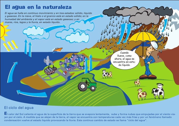 Fotos de enfermedades por agua contaminada 3 Fotos de enfermedades por agua contaminada 86