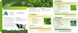 Folleto_Alfalfa-WL para proceso de siembra.pdf