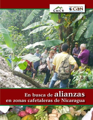 En busca de  alianzas
en zonas cafetaleras de Nicaragua
 