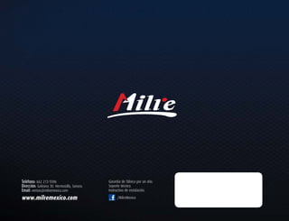 Folleto cerradura digital