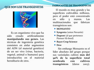 QUE SON LOS TRANSGENICOSQUE SON LOS TRANSGENICOS
Es un organismo vivo que ha
sido creado artificialmente
manipulando sus genes. Las
técnicas de ingeniería genética
consisten en aislar segmentos
del ADN (el material genético)
de un ser vivo (virus, bacteria,
vegetal, animal o humano) para
introducirlos en el material
hereditario de otro.
El mundo es muy grande y las
superficies cultivables millones,
pero el poder está concentrado
en sólo 5 manos. Las
multinacionales que fabrican
transgénicos son:
 MONSANTO
 Syngenta (antes Novartis)
 Dupont (al que pertenece
Pioneer Hi-bred)
 Bayer Crop Science
 Dow
Sin embargo Monsanto es el
líder absoluto del grupo porque
sus variedades cubren más del
90% de la superficie total
sembrada con cultivos
transgénicos (datos 2003).
FABRICANTES DE TRANSGENICOSFABRICANTES DE TRANSGENICOS
 