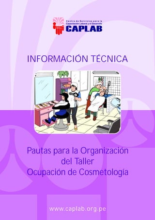 INFORMACIÓN TÉCNICA




Pautas para la Organización
         del Taller
Ocupación de Cosmetología


      www.caplab.org.pe
 