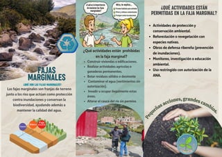 Protección y Uso Responsable de las Fajas Marginales en Ríos | PDF