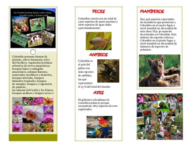 Folleto flora y fauna
