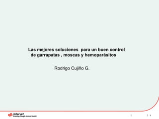 Las mejores soluciones  para un buen control  de garrapatas , moscas y hemoparásitos  Rodrigo Cujiño G. 