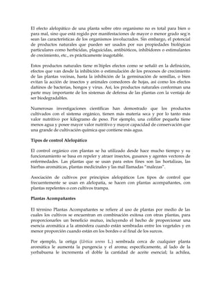 El efecto alelopático de una planta sobre otro organismo no es total para bien o
para mal, sino que está regido por manifestaciones de mayor o menor grado según
sean las características de los organismos involucrados. Sin embargo, el potencial
de productos naturales que pueden ser usados por sus propiedades biológicas
particulares como herbicidas, plaguicidas, antibióticos, inhibidores o estimulantes
de crecimiento, etc., es prácticamente inagotable.

Estos productos naturales tiene múltiples efectos como se señaló en la definición,
efectos que van desde la inhibición o estimulación de los procesos de crecimiento
de las plantas vecinas, hasta la inhibición de la germinación de semillas, o bien
evitan la acción de insectos y animales comedores de hojas, así como los efectos
dañinos de bacterias, hongos y virus. Así, los productos naturales conforman una
parte muy importante de los sistemas de defensa de las plantas con la ventaja de
ser biodegradables.

Numerosas investigaciones científicas han demostrado que los productos
cultivados con el sistema orgánico, tienen más materia seca y por lo tanto más
valor nutritivo por kilogramo de peso. Por ejemplo, una coliflor pequeña tiene
menos agua y posee mayor valor nutritivo y mayor capacidad de conservación que
una grande de cultivación química que contiene más agua.

Tipos de control Alelopático

El control orgánico con plantas se ha utilizado desde hace mucho tiempo y su
funcionamiento se basa en repeler y atraer insectos, gusanos y agentes vectores de
enfermedades. Las plantas que se usan para estos fines son las hortalizas, las
hierbas aromáticas, plantas medicinales y las mal llamadas “malezas”.

Asociación de cultivos por principios alelopáticos Los tipos de control que
frecuentemente se usan en alelopatía, se hacen con plantas acompañantes, con
plantas repelentes o con cultivos trampa.

Plantas Acompañantes

El término Plantas Acompañantes se refiere al uso de plantas por medio de las
cuales los cultivos se encuentran en combinación exitosa con otras plantas, para
proporcionarles un beneficio mutuo, incluyendo el hecho de proporcionar una
esencia aromática a la atmósfera cuando están sembradas entre los vegetales y en
menor proporción cuando están en los bordes o al final de los surcos.

Por ejemplo, la ortiga (Urtica urens L.) sembrada cerca de cualquier planta
aromática le aumenta la pungencia y el aroma; específicamente, al lado de la
yerbabuena le incrementa el doble la cantidad de aceite esencial; la achilea,
 