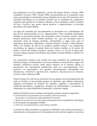 Esta definición se ha ido ampliando a través del tiempo (Ferrera -Cerrato, 1989;
Cambpell y Greaves, 1990 y Hund, 1990), reconociéndose en la actualidad varias
zonas, por ejemplo la ectorizosfera (zona alrededor de la raíz). El incremento de la
actividad microbiana en la rizósfera, ejercido por el suministro de compuestos
orgánicos que aportan los exudados radicales y otros materiales, recibe el nombre
de efecto rizosférico, que puede afectar positiva o negativamente la actividad
microbiana del medio edáfico.

Los tipos de exudados que frecuentemente se encuentran son: carbohidratos del
tipo de los monosacáridos, di, tri y oligosacáridos. Como exudados importantes
también se encuentran factores del crecimiento como la tiamina, niacina, colina,
inositol, piridoxina, ácido N-metil nicotínico, etc., que son necesarios para el
desarrollo tanto de hongos, bacterias, actinomicetos y algas como para la
microfauna (protozoos, nematodos e insectos) (Ferrera- Cerrato y Pérez-Moreno,
1995), Los cambios de pH en la rizósfera también afectan a las poblaciones
microbianas, en algunas ocasiones basta con inducir cambios en la acidez del
medio a través del manejo mecánico, químico, físico o el uso de la tierra para
favorecer algunos grupos microbianos, que pueden resultar benéfico o dañino a la
plantación.

Los compuestos químicos que exudan las raíces modifican las poblaciones de
bacterias, hongos y actinomicetos y provocan cambios en los protozoos y algas. Los
estudios cualitativos revelan cierto efecto selectivo en el sistema radical, al
encontrarse una estimulación preferencial sobre los microorganismos Gran
negativos, no esporulados. Los géneros frecuentemente encontrados son
Pseudomonas, Arthrobacter, Agrobacterium, Azotobacter, Mycobacterium etc. (Ferrera-
Cerrato y Pérez- Moreno, 1995).

Desde el punto de vista de sus relaciones con las plantas, los microorganismos del
suelo se dividen en tres grandes grupos: a) saprofitos, que utilizan compuestos
orgánicos procedentes de residuos de animales, vegetales o microbianos; b)
simbiontes parasíticos o patógenos, causantes de enfermedades a las plantas; c)
simbiontes, los cuales benefician el desarrollo y nutrición vegetal.

Entre los beneficios para el sistema suelo-planta, pueden citarse los siguientes:
E Estimulación de la germinación de las semillas y del enraizamiento.
. Incremento en el suministro y disponibilidad de nutrientes
I Mejora de la estructura del suelo como consecuencia de la contribución microbiana
en la formación de agregados estables.
e Protección de la planta frente a estrés hídrico y abiótico

La fuente de dichos beneficios en general es atribuible a las colonias bacterianas y
actinomicetos, relacionados con la mineralización del sustrato orgánico y procesos
 