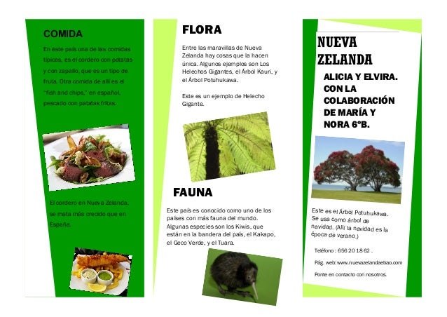 folleto