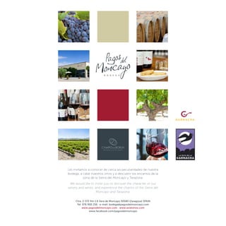 Les invitamos a conocer de cerca las peculiaridades de nuestra
bodega, a catar nuestros vinos y a descubrir los encantos de la
zona de la Sierra del Moncayo y Tarazona.
We would like to invite you to discover the character of our
winery and wines, and experience the charms of the Sierra del
Moncayo and Tarazona.
Ctra. Z-372 Km 1.6 Vera de Moncayo 50580 (Zaragoza) SPAIN
Tel: 976 900 256 · e-mail: bodega@pagosdelmoncayo.com
www.pagosdelmoncayo.com · www.axialvinos.com
www.facebook.com/pagosdelmoncayo
 