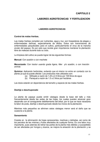 CAPITULO 2

                          LABORES AGROTECNICAS Y FERTILIZACION



                           LABORES AGROTECNICAS


Control de malas hierbas.

Las malas hierbas compiten por nutrientes, agua y luz, son hospederas de plagas y
enfermedades dañinas, especialmente de áfidos. Estos son transmisores de
enfermedades perjudiciales para el cultivo, particularmente el virus de la mancha
anular del papayo. Es por esto que reviste gran importancia mantener la plantación
libre de malezas durante todo su ciclo.

La limpieza del cultivo se puede lograr de las siguientes formas:

Manual: Con azadón o con machete

Mecanizada: Con tractor usando grada ligera, tiller y/o azadón, o con tracción
animal.

Química: Aplicando herbicidas, evitando que el mismo no entre en contacto con la
planta ya que la puede afectar. Los productos más utilizados son:
            (a) Glifosato a razón de 1.25 a 2.5 litros por 100 litros de agua
            (b) Paraquat a razón de 1.5 a 2 litros por hectárea

Las dosis estarán en dependencia del tamaño y especie de las malas hierbas.


Deshije o deschuponado


La planta de papaya puede emitir vástagos desde la base del tallo y más
frecuentemente desde las axilas de las hojas, los cuales pueden alcanzar gran
desarrollo con el consiguiente debilitamiento del árbol, por lo que se hace necesaria
la labor de poda, deshije o deschuponado desde los inicios de la plantación.

Mientras más pequeños se eliminen estos vástagos menor será el daño que se
ocasione a la planta.

Saneamiento

Cosiste en la eliminación de hojas senescentes, inactivas y dañadas, así como de
los peciolos de las mismas y frutos afectados de cualquier forma. Es una labor muy
importante, pues además de retirar las partes de la planta más débiles y susceptibles
de ser afectadas por hongos y ácaros, se mejora la aireación de la plantación y se


                                                                                  15
 