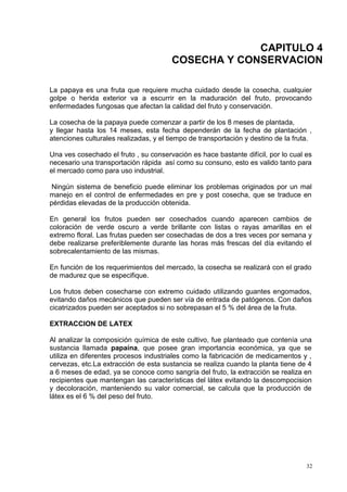 CAPITULO 4
                                        COSECHA Y CONSERVACION

La papaya es una fruta que requiere mucha cuidado desde la cosecha, cualquier
golpe o herida exterior va a escurrir en la maduración del fruto, provocando
enfermedades fungosas que afectan la calidad del fruto y conservación.

La cosecha de la papaya puede comenzar a partir de los 8 meses de plantada,
y llegar hasta los 14 meses, esta fecha dependerán de la fecha de plantación ,
atenciones culturales realizadas, y el tiempo de transportación y destino de la fruta.

Una ves cosechado el fruto , su conservación es hace bastante difícil, por lo cual es
necesario una transportación rápida así como su consuno, esto es valido tanto para
el mercado como para uso industrial.

 Ningún sistema de beneficio puede eliminar los problemas originados por un mal
manejo en el control de enfermedades en pre y post cosecha, que se traduce en
pérdidas elevadas de la producción obtenida.

En general los frutos pueden ser cosechados cuando aparecen cambios de
coloración de verde oscuro a verde brillante con listas o rayas amarillas en el
extremo floral. Las frutas pueden ser cosechadas de dos a tres veces por semana y
debe realizarse preferiblemente durante las horas más frescas del día evitando el
sobrecalentamiento de las mismas.

En función de los requerimientos del mercado, la cosecha se realizará con el grado
de madurez que se especifique.

Los frutos deben cosecharse con extremo cuidado utilizando guantes engomados,
evitando daños mecánicos que pueden ser vía de entrada de patógenos. Con daños
cicatrizados pueden ser aceptados si no sobrepasan el 5 % del área de la fruta.

EXTRACCION DE LATEX

Al analizar la composición química de este cultivo, fue planteado que contenía una
sustancia llamada papaína, que posee gran importancia económica, ya que se
utiliza en diferentes procesos industriales como la fabricación de medicamentos y ,
cervezas, etc.La extracción de esta sustancia se realiza cuando la planta tiene de 4
a 6 meses de edad, ya se conoce como sangría del fruto, la extracción se realiza en
recipientes que mantengan las características del látex evitando la descompocision
y decoloración, manteniendo su valor comercial, se calcula que la producción de
látex es el 6 % del peso del fruto.




                                                                                    32
 