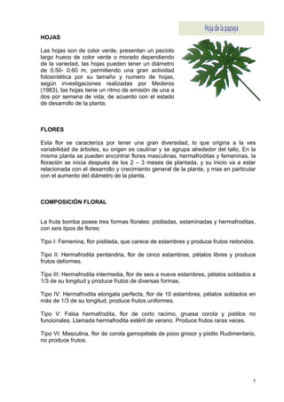 HOJAS

Las hojas son de color verde, presentan un pecíolo
largo hueco de color verde o morado dependiendo
de la variedad, las hojas pueden tener un diámetro
de 0.50- 0.60 m, permitiendo una gran actividad
fotosintética por su tamaño y numero de hojas,
según investigaciones realizadas por Mederos
(1983), las hojas tiene un ritmo de emisión de una a
dos por semana de vida, de acuerdo con el estado
de desarrollo de la planta.



FLORES

Esta flor se caracteriza por tener una gran diversidad, lo que origina a la ves
variabilidad de árboles, su origen es caulinar y se agrupa alrededor del tallo, En la
misma planta se pueden encontrar flores masculinas, hermafroditas y femeninas, la
floración se inicia después de los 2 – 3 meses de plantada, y su inicio va a estar
relacionada con el desarrollo y crecimiento general de la planta, y mas en particular
con el aumento del diámetro de la planta.



COMPOSICIÓN FLORAL


La fruta bomba posee tres formas florales: pistiladas, estaminadas y hermafroditas,
con seis tipos de flores:

Tipo I: Femenina, flor pistilada, que carece de estambres y produce frutos redondos.

Tipo II: Hermafrodita pentandria, flor de cinco estambres, pétalos libres y produce
frutos deformes.

Tipo III: Hermafrodita intermedia, flor de seis a nueve estambres, pétalos soldados a
1/3 de su longitud y produce frutos de diversas formas.

Tipo IV: Hermafrodita elongata perfecta, flor de 10 estambres, pétalos soldados en
más de 1/3 de su longitud, produce frutos uniformes.

Tipo V: Falsa hermafrodita, flor de corto racimo, gruesa corola y pistilos no
funcionales. Llamada hermafrodita estéril de verano. Produce frutos raras veces.

Tipo VI: Masculina, flor de corola gamopétala de poco grosor y pistilo Rudimentario,
no produce frutos.




                                                                                    5
 