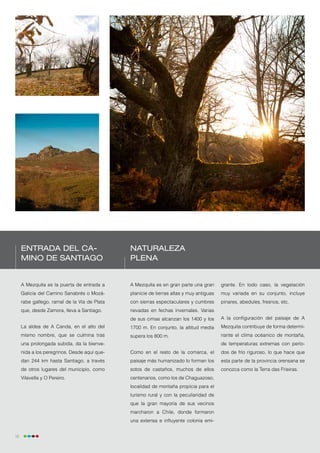 Entrada del Ca-                          Naturaleza
     mino de Santiago                         plena


     A Mezquita es la puerta de entrada a     A Mezquita es en gran parte una gran       grante. En todo caso, la vegetación
     Galicia del Camino Sanabrés o Mozá-      planicie de tierras altas y muy antiguas   muy variada en su conjunto, incluye
     rabe gallego, ramal de la Vía de Plata   con sierras espectaculares y cumbres       pinares, abedules, fresnos, etc.
     que, desde Zamora, lleva a Santiago.     nevadas en fechas invernales. Varias
                                              de sus cimas alcanzan los 1400 y los       A la configuración del paisaje de A
     La aldea de A Canda, en el alto del      1700 m. En conjunto, la altitud media      Mezquita contribuye de forma determi-
     mismo nombre, que se culmina tras        supera los 800 m.                          nante el clima océanico de montaña,
     una prolongada subida, da la bienve-                                                de temperaturas extremas con perío-
     nida a los peregrinos. Desde aquí que-   Como en el resto de la comarca, el         dos de frío riguroso, lo que hace que
     dan 244 km hasta Santiago, a través      paisaje más humanizado lo forman los       esta parte de la provincia orensana se
     de otros lugares del municipio, como     sotos de castaños, muchos de ellos         conozca como la Terra das Frieiras.
     Vilavella y O Pereiro.                   centenarios, como los de Chaguazoso,
                                              localidad de montaña propicia para el
                                              turismo rural y con la peculiaridad de
                                              que la gran mayoría de sus vecinos
                                              marcharon a Chile, donde formaron
                                              una extensa e influyente colonia emi-


12
 