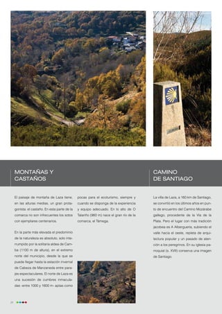 Montañas y                                                                           Camino
     castaños                                                                             de Santiago


     El paisaje de montaña de Laza tiene,       pocas para el ecoturismo, siempre y       La villa de Laza, a 160 km de Santiago,
     en las alturas medias, un gran prota-      cuando se disponga de la experiencia      se convirtió en los últimos años en pun-
     gonista: el castaño. En esta parte de la   y equipo adecuado. En lo alto de O        to de encuentro del Camino Mozárabe
     comarca no son infrecuentes los sotos      Talariño (960 m) nace el gran río de la   gallego, procedente de la Vía de la
     con ejemplares centenarios.                comarca, el Támega.                       Plata. Pero el lugar con más tradición
                                                                                          jacobea es A Alberguería, subiendo el
     En la parte más elevada el predominio                                                valle hacia el oeste, repleta de arqui-
     de la naturaleza es absoluto, solo inte-                                             tectura popular y un pasado de aten-
     rrumpido por la solitaria aldea de Cam-                                              ción a los peregrinos. En su iglesia pa-
     ba (1100 m de altura), en el extremo                                                 rroquial (s. XVII) conserva una imagen
     norte del municipio, desde la que se                                                 de Santiago.
     puede llegar hasta la estación invernal
     de Cabeza de Manzaneda entre para-
     jes espectaculares. El norte de Laza es
     una sucesión de cumbres inmacula-
     das -entre 1000 y 1600 m- aptas como



24
 