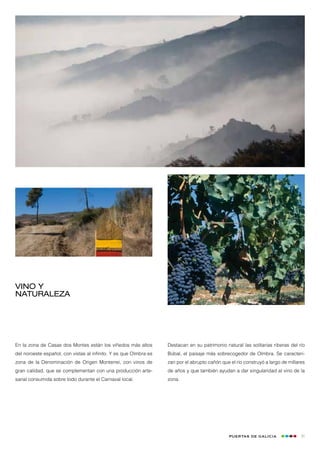 Vino y
naturaleza




En la zona de Casas dos Montes están los viñedos más altos         Destacan en su patrimonio natural las solitarias riberas del río
del noroeste español, con vistas al infinito. Y es que Oímbra es   Búbal, el paisaje más sobrecogedor de Oímbra. Se caracteri-
zona de la Denominación de Origen Monterrei, con vinos de          zan por el abrupto cañón que el río construyó a largo de millares
gran calidad, que se complementan con una producción arte-         de años y que también ayudan a dar singularidad al vino de la
sanal consumida sobre todo durante el Carnaval local.              zona.




                                                                                                Puertas de Galicia                31
 
