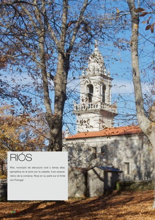 RIÓS
     Riós, municipio de estructura rural y tierras altas,
     ejemplifica en el amor por la castaña, fruto caracte-
     rístico de la comarca. Roza en su parte sur el límite
     con Portugal.




34
 