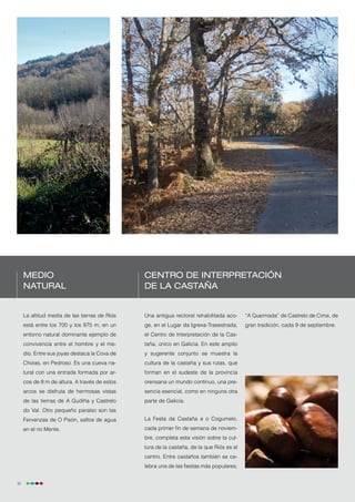 Medio                                     Centro de Interpretación
     natural                                   de la Castaña


     La altitud media de las tierras de Riós   Una antigua rectoral rehabilitada aco-     “A Queimada” de Castrelo de Cima, de
     está entre los 700 y los 975 m, en un     ge, en el Lugar da Igrexa-Trasestrada,     gran tradición, cada 9 de septiembre.
     entorno natural dominante ejemplo de      el Centro de Interpretación de la Cas-
     convivencia entre el hombre y el me-      taña, único en Galicia. En este amplio
     dio. Entre sus joyas destaca la Cova de   y sugerente conjunto se muestra la
     Choias, en Pedroso. Es una cueva na-      cultura de la castaña y sus rutas, que
     tural con una entrada formada por ar-     forman en el sudeste de la provincia
     cos de 8 m de altura. A través de estos   orensana un mundo continuo, una pre-
     arcos se disfruta de hermosas vistas      sencia esencial, como en ninguna otra
     de las tierras de A Gudiña y Castrelo     parte de Galicia.
     do Val. Otro pequeño paraíso son las
     Fervenzas de O Pisón, saltos de agua      La Festa da Castaña e o Cogumelo,
     en el río Mente.                          cada primer fin de semana de noviem-
                                               bre, completa esta visión sobre la cul-
                                               tura de la castaña, de la que Riós es el
                                               centro. Entre castaños también se ce-
                                               lebra una de las fiestas más populares,


36
 