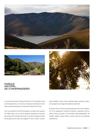 Parque
Natural
de O Invernadeiro




La entrada principal al Parque Natural de O Invernadeiro está      lobos, jabalíes, nutrias, lirones, águilas reales, perdices y halco-
en Campobecerros, en el vecino municipio de Castrelo do Val.       nes peregrinos son algunas especies existentes.
Pero el grueso del parque se asienta en Vilariño de Conso.
                                                                   El parque tiene un Centro de Recuperación de la Fauna Silves-
Con una superficie de 5722 hectáreas y cumbres que superan         tre. En la vegetación mandan los brezos y especies como el
los 1600 metros, es uno de los espacios naturales de montaña       roble, el tejo y el acebo. O Invernadeiro está deshabitado. Se
esenciales del noroeste peninsular y uno de los lugares el hielo   pueden realizar, previa reserva, varias rutas por sus distintos
de las glaciaciones dejó más pegada. Corzos, ciervos, cabras,      ecosistemas.




                                                                                                 Puertas de Galicia                  53
 