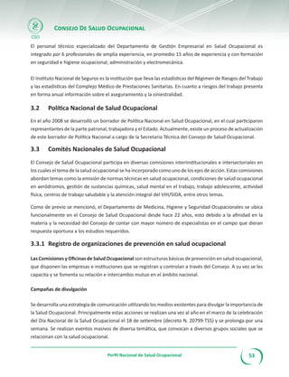 Folleto perfil Salud Ocupacional en Costa Rica | PDF