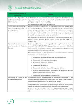 Folleto perfil Salud Ocupacional en Costa Rica | PDF