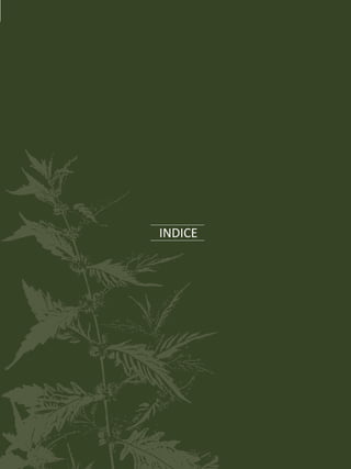 El burrito, la menta y el orégano
11
INDICE
 