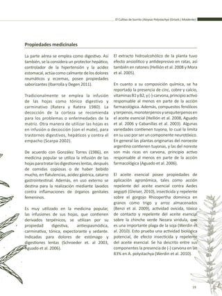 El Cultivo de burrito (Aloysia Polystachya (Griseb.) Moldenke)
19
Propiedades medicinales
La parte aérea se emplea como digestivo. Así
también, se la considera un protector hepático,
controlador de la hipertensión y la acidez
estomacal, actúa como calmante de los dolores
reumáticos y eczemas, posee propiedades
saborizantes (Ibarrolla y Degen 2011).
Tradicionalmente se emplea la infusión
de las hojas como tónico digestivo y
carminativo (Ratera y Ratera 1980). La
decocción de la corteza se recomienda
para los problemas o enfermedades de la
matriz. Otra manera de utilizar las hojas es
en infusión o decocción (con el mate), para
trastornos digestivos, hepáticos y contra el
empacho (Scarpa 2002).
De acuerdo con González Torres (1986), en
medicina popular se utiliza la infusión de las
hojasparatratarlasdigestioneslentas,después
de comidas copiosas o de haber bebido
mucho, en flatulencias, acidez gástrica, catarro
gastrointestinal. Además, en uso externo se
destina para la realización mediante lavados
contra inflamaciones de órganos genitales
femeninos.
Es muy utilizado en la medicina popular,
las infusiones de sus hojas, que contienen
derivados terpénicos, se utilizan por su
propiedad digestiva, antiespasmódica,
carminativa, tónica, expectorante y sedante.
Indicadas para dolores de estómago y
digestiones lentas (Schroeder et. al 2003,
Aguado et al. 2006).
El extracto hidroalcohólico de la planta tuvo
efecto ansiolítico y antidepresivo en ratas, así
también en ratones (Hellión et al. 2008 y Mora
et al. 2005).
En cuanto a su composición química, se ha
reportado la presencia de cinc, cobre y calcio,
vitaminasB1yB2,y(-)-carvona,principioactivo
responsable al menos en parte de la acción
farmacológica. Además, compuestos fenólicos
yterpenos,monoterpenosysesquiterpenosen
el aceite esencial (Hellión et al. 2008, Aguado
et al. 2006 y Cabanillas et al. 2003). Algunas
variedades contienen tuyona, lo cual la limita
en su uso por ser un componente neurotóxico.
En general las plantas originarias del noroeste
argentino contienen tuyonas, y las del noreste
son más ricas en carvona, principio activo
responsable al menos en parte de la acción
farmacológica (Aguado et al. 2006).
El aceite esencial posee propiedades de
aplicación agronómica, tales como acción
repelente del aceite esencial contra Aedes
aegypti (Gleiser, 2010), insecticida y repelente
sobre el gorgojo Rhizopertha dominica en
granos como trigo y arroz almacenados
(Benzi et al. 2009), actividad ovicida, tóxico
de contacto y repelente del aceite esencial
sobre la chinche verde Nezara viridula, que
es una importante plaga de la soja (Werdin et
al. 2010). Esto prueba una actividad biológica
potencial, de efecto insecticida y repelente
del aceite esencial. Se ha descrito entre sus
componentes la presencia de (-) carvona en un
83% en A. polystachya (Werdin et al. 2010).
 